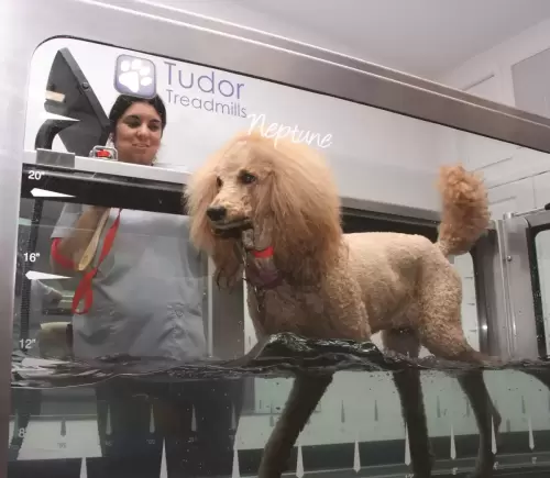 IMG_0980 - Lily UWTM